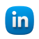 icona Linkedin